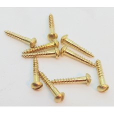 Escutcheon Screw 900112