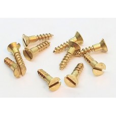 Escutcheon Screw 900238