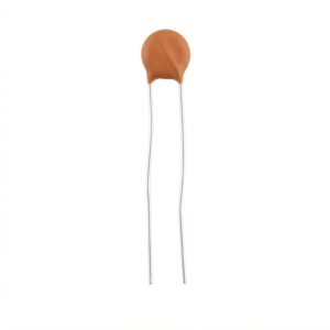 Ceramic Capacitor 101pf 1000v, 2000v